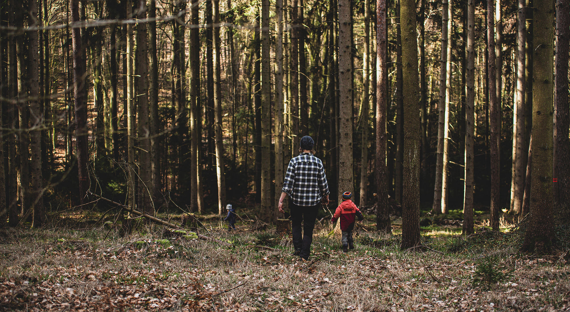 Erzieher und Kinder gehen im Wald